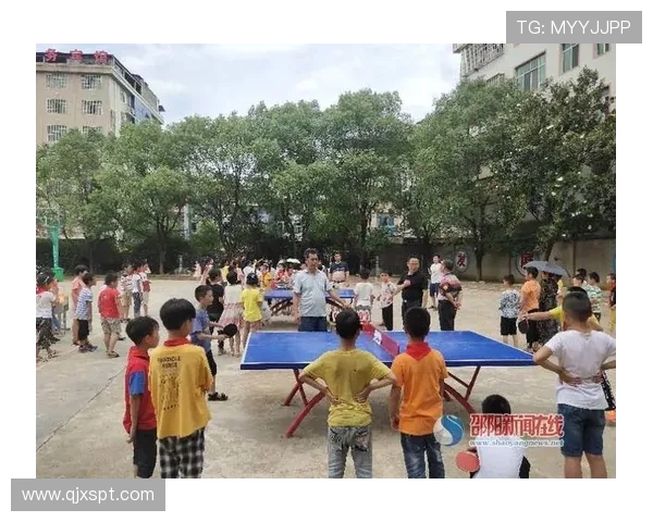 乒乓球传奇刘磊的职业生涯回顾与成长历程分享