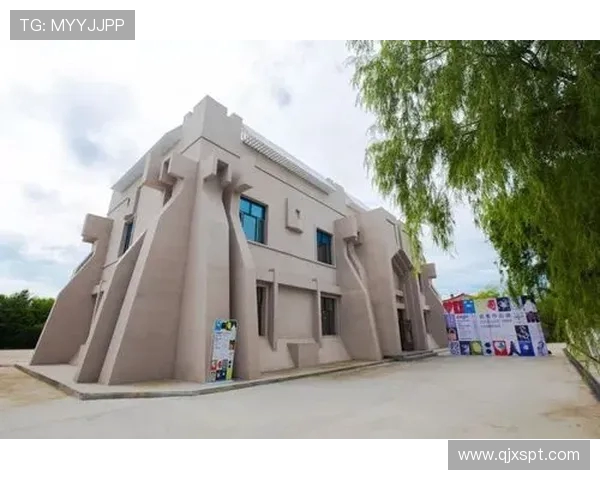 南京街舞队在阵地战中的表现与反思探讨